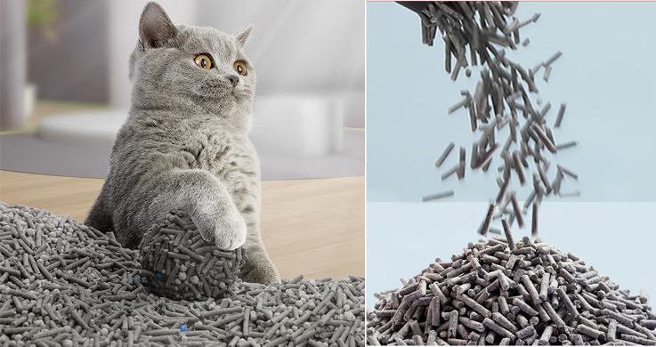 arena para gatos carbon activado