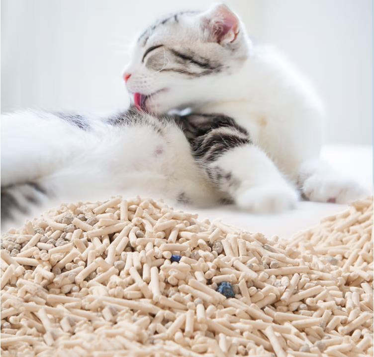 Consejos sobre cómo seleccionar la arena para gatos